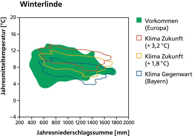 Vorkommen der Winterlinde heute als dunkelgrüne Fläche und mit dem Klima von heute und in der Zukunft bei wahlweise 1,8 und 3,2 Grad Erwärmung schematisch dargestellt.