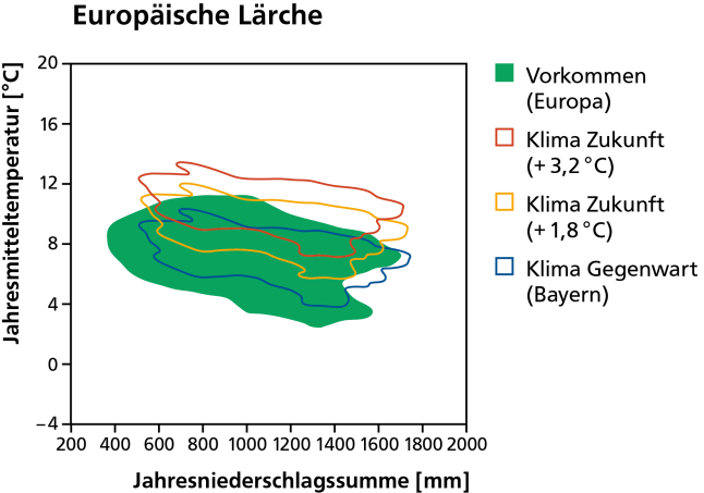 Vorkommen der Europäischen Lärche heute als dunkelgrüne Fläche und mit dem Klima von heute und in der Zukunft bei wahlweise 1,8 und 3,2 Grad Erwärmung schematisch dargestellt.