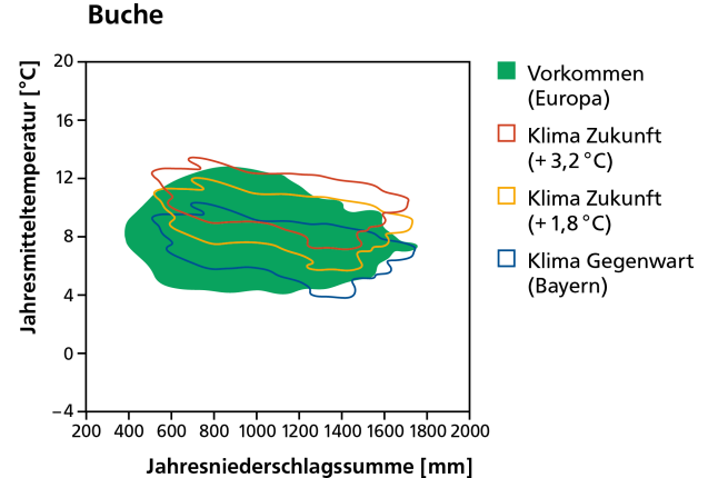 Vorkommen der Buche heute als dunkelgrüne Fläche und mit dem Klima von heute und in der Zukunft bei wahlweise 1,8 und 3,2 Grad Erwärmung schematisch dargestellt.