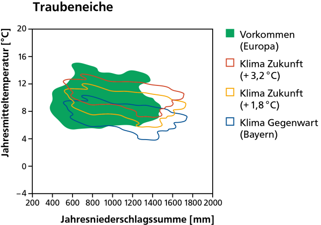 Vorkommen der Traubeneiche heute als dunkelgrüne Fläche und mit dem Klima von heute und in der Zukunft bei wahlweise 1,8 und 3,2 Grad Erwärmung schematisch dargestellt.