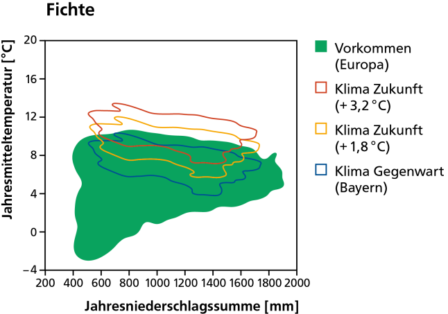 Vorkommen der Fichte heute als dunkelgrüne Fläche und mit dem Klima von heute und in der Zukunft bei wahlweise 1,8 und 3,2 Grad Erwärmung schematisch dargestellt.